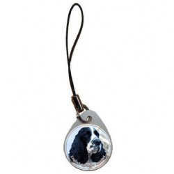 English Springer Spaniel