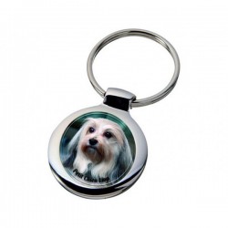 Petit chien lion