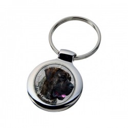 Perro de Presa Canario
