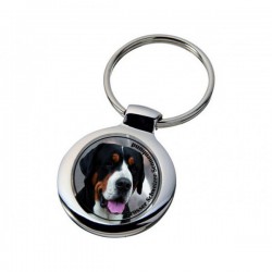 Großer Schweizer Sennenhund