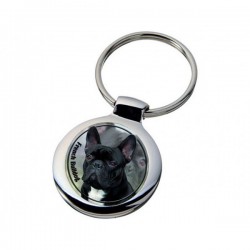 Französische Bulldogge