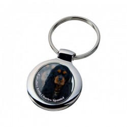 Cavalier King Charles Spaniel