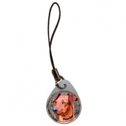 Pinscher