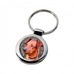 Pinscher