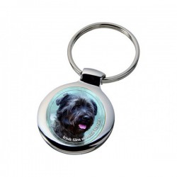 Irish Glen of Imaal Terrier