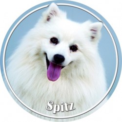Spitz