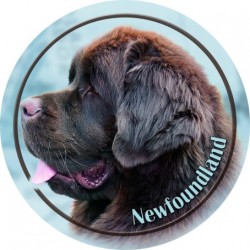 Neufundländer