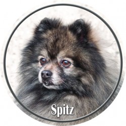 Spitz