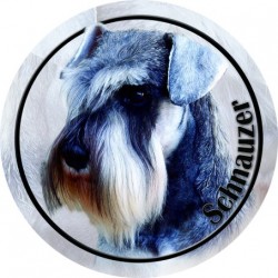 Schnauzer