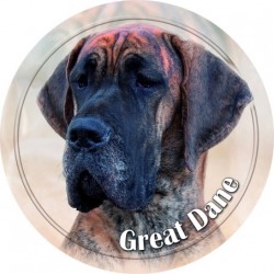 Deutsche Dogge