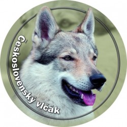 Tschechoslowakischer Wolfshund