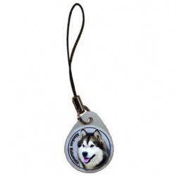 Alaskan Malamute