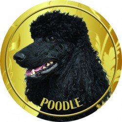 Pudel
