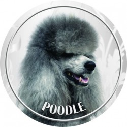 Pudel