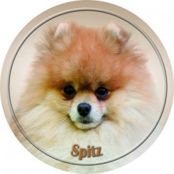 Spitz