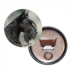 Scottish Terrier