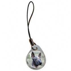 Xoloitzcuintle