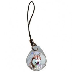 Siberian Husky