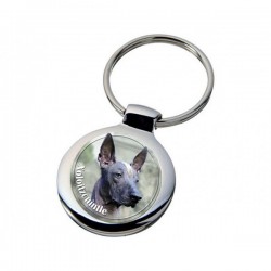 Xoloitzcuintle