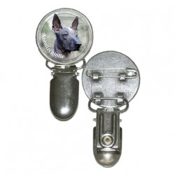 Xoloitzcuintle