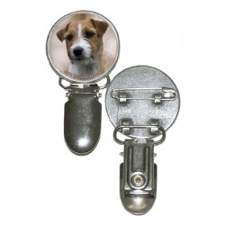 Jack Russell Terrier
