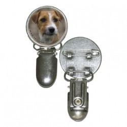 Jack Russell Terrier