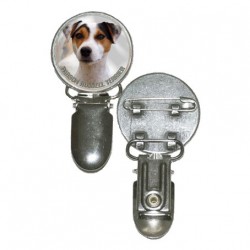 Parson Russell Terrier