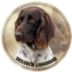 Deutscher Langhaariger Vorstehhund