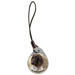 Deutscher Langhaariger Vorstehhund