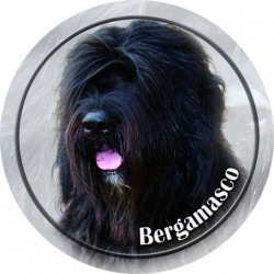 Bergamasco