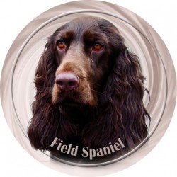 Field Spaniel