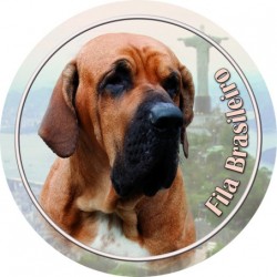 Fila Brasileiro