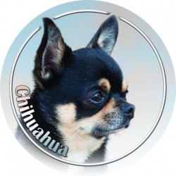 Chihuahua