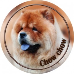Chow chow
