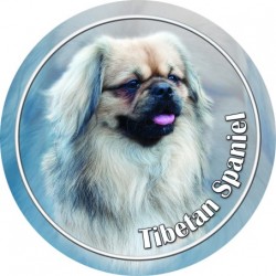 Tibet Spaniel