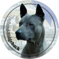 Thai Ridgeback