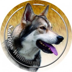 Saarlooswolfhund
