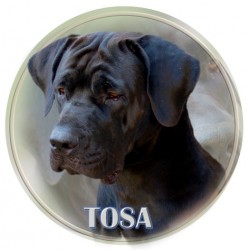 Tosa Inu