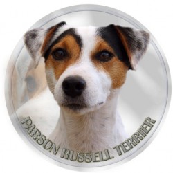 Parson Russell Terrier