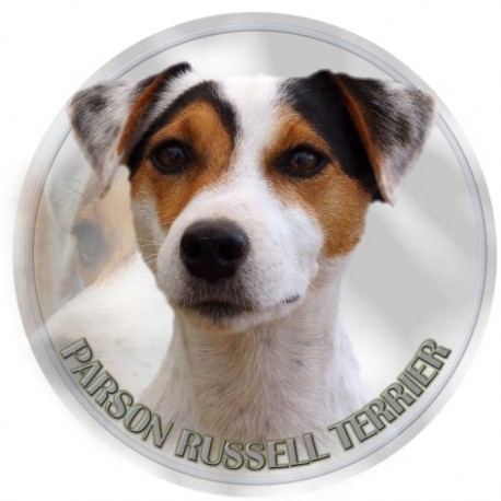 Parson Russell Terrier Parson Russell Terrier