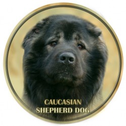 Caucasian Shepherd Dog  