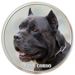 Cane Corso
