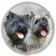 Cairn terrier