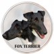 Fox Terrier  