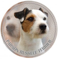 Parson Russell Terrier