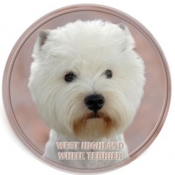 West Highland White Terrier