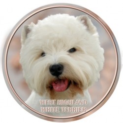 West Highland White Terrier