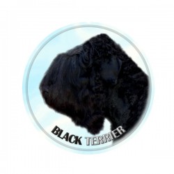 Black Terrier
