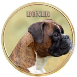 Boxer