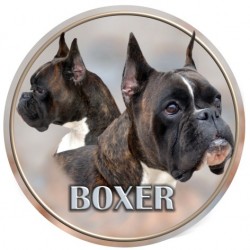 Boxer